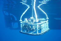 Il Mar Mediterraneo culla la ricerca
