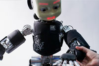 Il robot e la rete