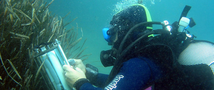 foto di un operatore scientifico subacqueo - credit: SZN,Bruno Iacono