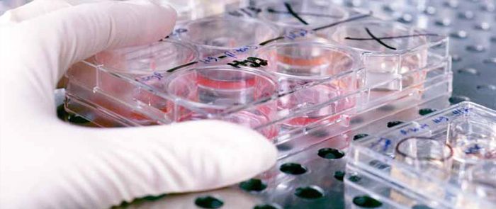 La comunità GARR insieme per la ricerca biomedica